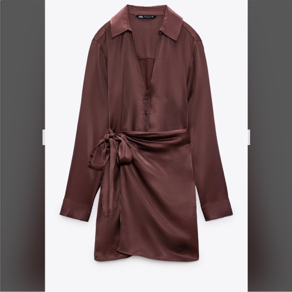 Zara Brown Mini Dress